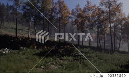 moon light over the spruce trees of magic mystery night forest 90535840