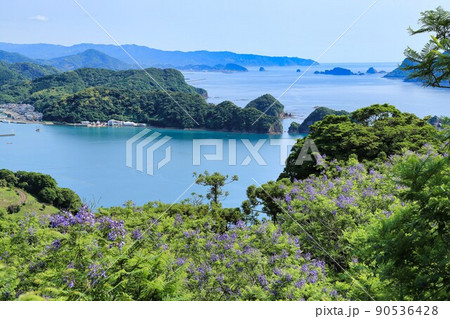 ジャカランダ祭り(宮崎県) ジャカランダ祭り(宮崎県) 90536428