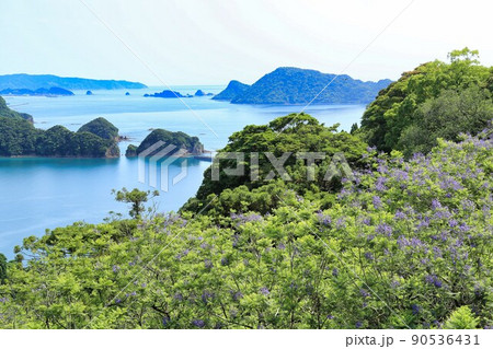 ジャカランダ祭り（宮崎県） 90536431