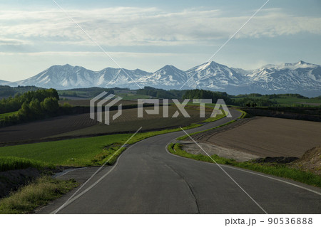 無電柱の道 90536888