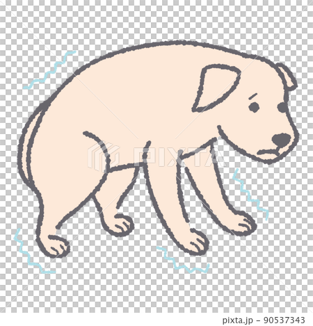 しっぽを巻いて震える犬のイラスト 90537343