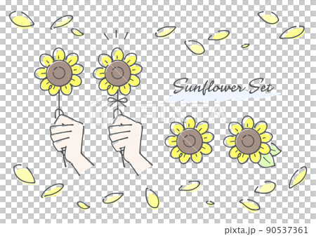 ひまわり 花と手のセット 花びら付き カラー版 ひまわり 花と手のセット 花びら付き カラー版 90537361