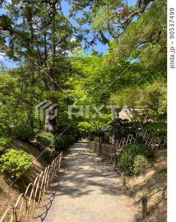 新緑の栗林公園（5月上旬） 90537499