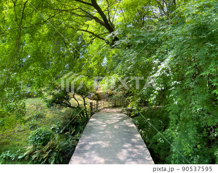 新緑の栗林公園（5月上旬） 90537595