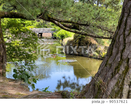 新緑の栗林公園（5月上旬） 90537621