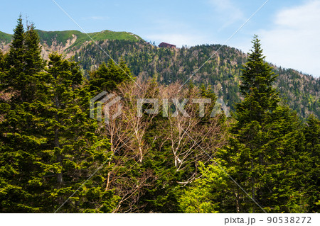 春の西穂高風景 90538272
