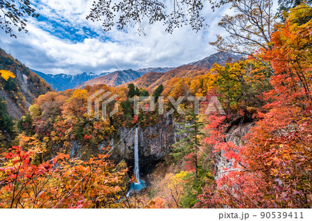 白水の滝と紅葉 90539411