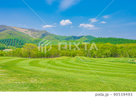 新緑の北海道 90539493
