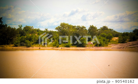 Panoramic landscape view to sahel and oasis Dogon Tabki with flooded river at Dogondoutchi, Niger 90540162