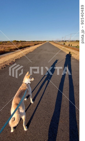 共に歩むの写真素材 [90540489] - PIXTA