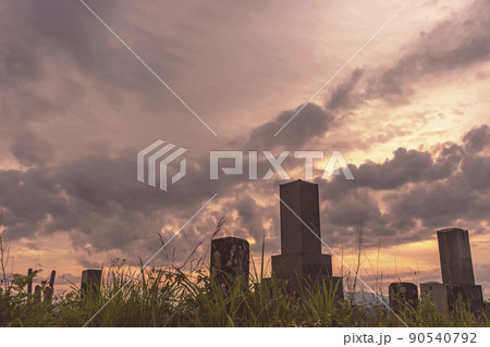 210703上野平z030 210703上野平z030 90540792