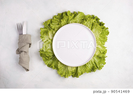 Empty white round plate on the green salad leaves Empty white round plate on the green salad leaves 90541469