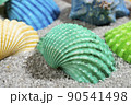 colorful shells 90541498