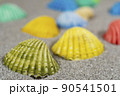 colorful shells 90541501