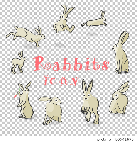 時尚兔子（插圖圖標） 90541676