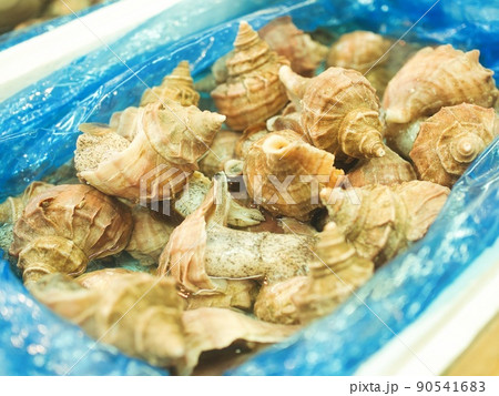 八王子の朝市の風景 90541683