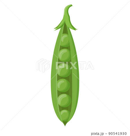 Cute green pea isolated on white background. Vegetarian food. Flat vector illustration. 90541930