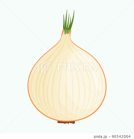 Half of onion isolated on background. Flat vector illustration 90542004