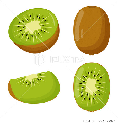 Set of kiwi with green leaves isolated on white background. Flat vector illustration 90542087
