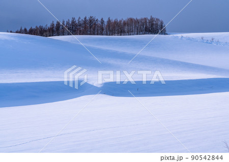 《北海道》美瑛の丘・雪原の大地 《北海道》美瑛の丘・雪原の大地 90542844