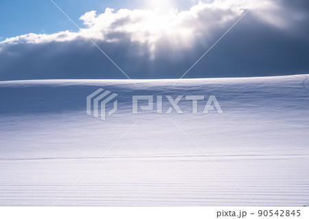 《北海道》美瑛の丘・雪原の大地 《北海道》美瑛の丘・雪原の大地 90542845