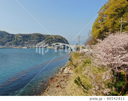 屋代島の五条千本桜と沖家室大橋の空撮 屋代島の五条千本桜と沖家室大橋の空撮 90542911