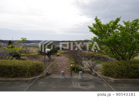 愛知県常滑市 小脇公園 景色 愛知県常滑市 小脇公園 景色 90543181