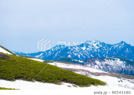 初夏の乗鞍高原から見る北アルプス【長野県】 初夏の乗鞍高原から見る北アルプス【長野県】 90543380