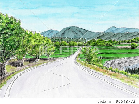 田んぼの中を通り抜ける一本道 90543772