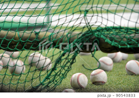 スポーツ観戦 スポーツ観戦 90543833