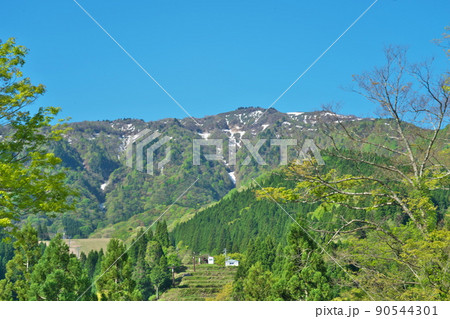 兵庫県最高峰　残雪の氷ノ山と新緑と青空1　兵庫県養父市 90544301