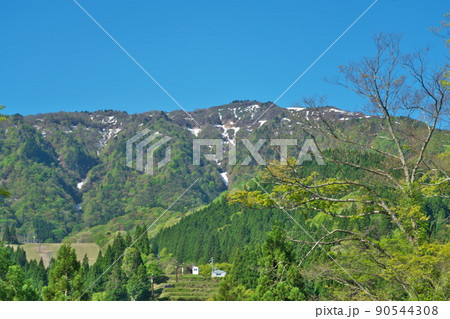 兵庫県最高峰　残雪の氷ノ山と新緑と青空7　兵庫県養父市 90544308