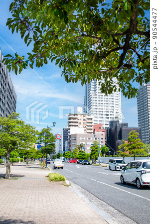 上八丁堀は官庁施設が多い街です。正面にはグランドタワーが見えます。護国神社側からの展望です。広島県 上八丁堀は官庁施設が多い街です。正面にはグランドタワーが見えます。護国神社側からの展望です。広島県 90544477