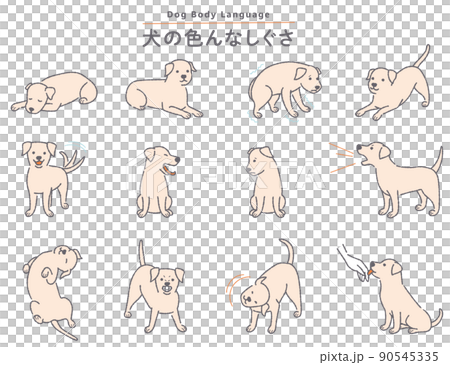 犬の色んなしぐさイラストセットのイラスト素材