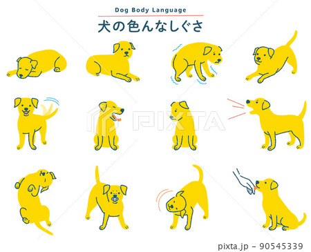 犬の色んなしぐさイラストセットのイラスト素材