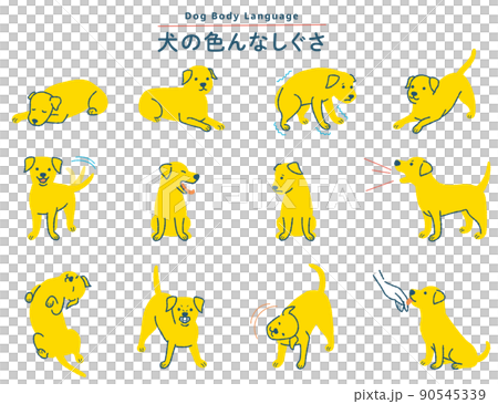Various dog gesture illustration set 90545339