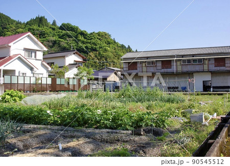 住宅街にある畑 90545512