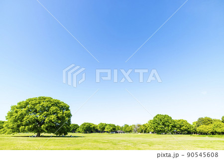 緑と青空の広がる風景 緑と青空の広がる風景 90545608
