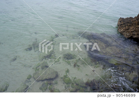 石垣島の海と岩 石垣島の海と岩 90546699