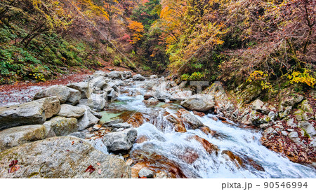 尾白川渓谷(秋) 尾白川渓谷(秋) 90546994