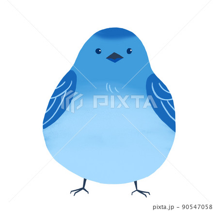 主線なしの正面を向いた可愛い青い鳥のイラストのイラスト素材