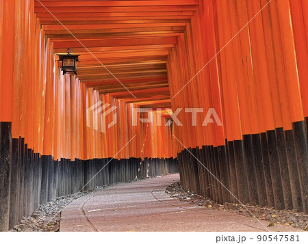 伏見稲荷の鳥居 90547581