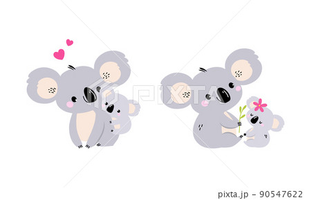Adorable Koala Arboreal Australian Animal with Round Ears and Little Baby Cub Vector Set Adorable Koala Arboreal Australian Animal with Round Ears and Little Baby Cub Vector Set 90547622
