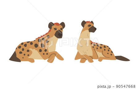 Hyena as Carnivore Mammal with Spotted Coat and Rounded Ears Sitting Vector Set 90547668