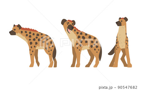 Hyena as Carnivore Mammal with Spotted Coat and Rounded Ears Standing Vector Set 90547682