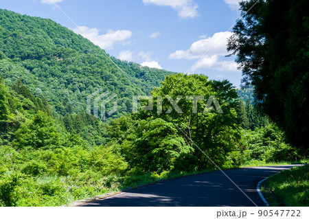 【国道157号】離合可能な区間 【国道157号】離合可能な区間 90547722