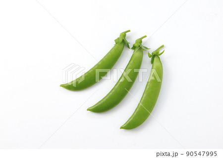 えんどう 90547995