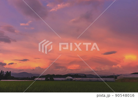 210713上野平z024 210713上野平z024 90548016