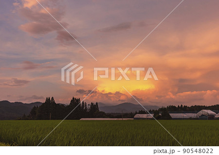 210713上野平z018 210713上野平z018 90548022