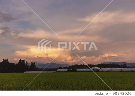 210713上野平z008 90548026